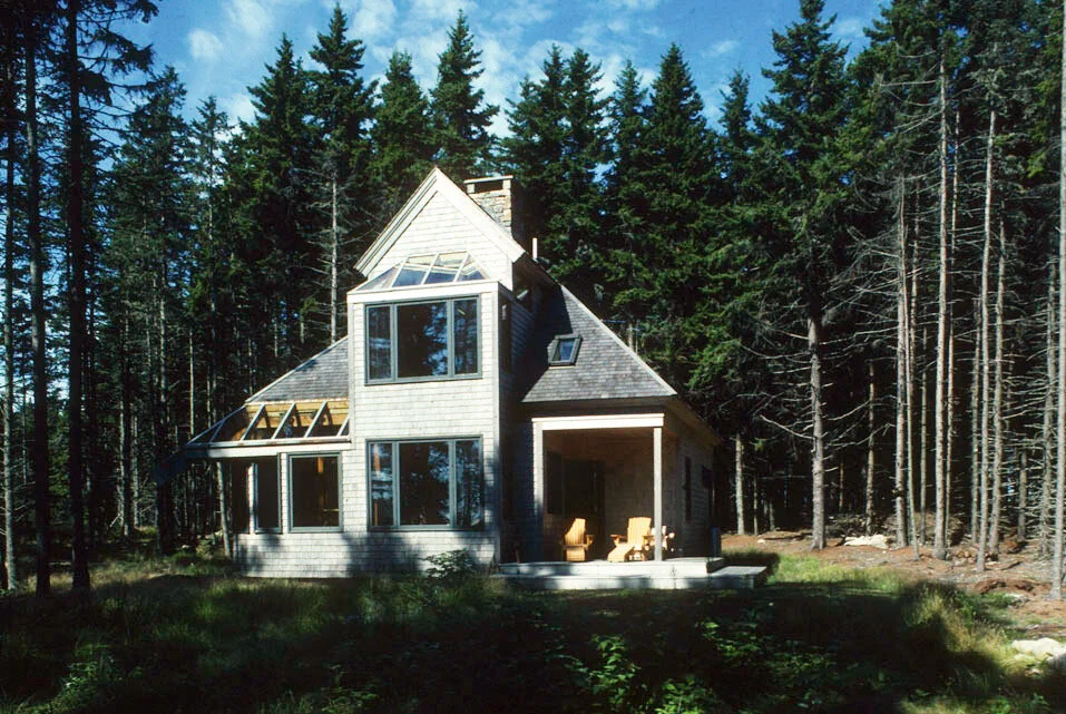 A Sunny Place in the Forest
